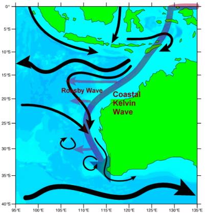 ENSO Influences on the Leeuwin Current